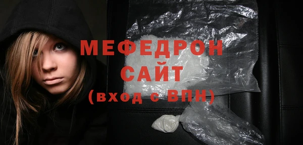 индика Богородск