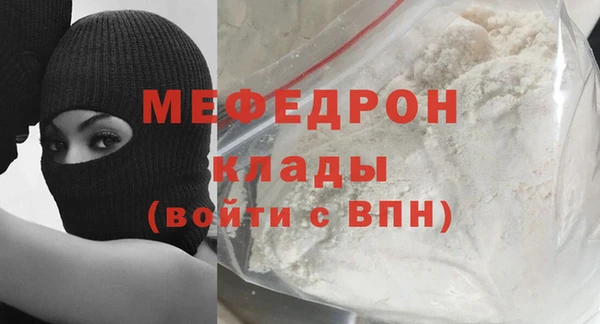 индика Богородск
