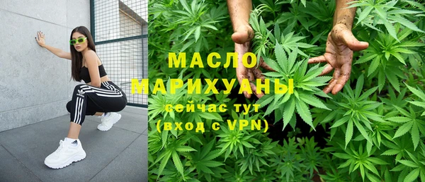 индика Богородск