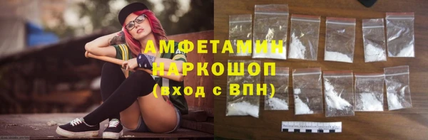 индика Богородск