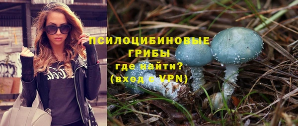 хмурый Бронницы