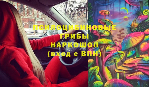 индика Богородск