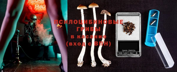 индика Богородск