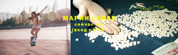 индика Богородск