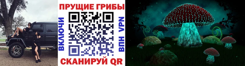 Галлюциногенные грибы мицелий  закладки  Ярославль 